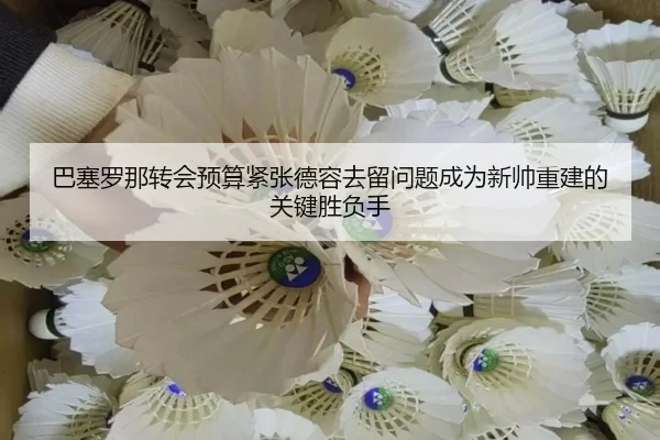 ba-sai-luo-na-zhuan-hui-yu-suan-jin-zhang-de-rong-qu-liu-wen-ti-cheng-wei-xin-shuai-chong-jian-de-guan-jian-sheng-fu-3-546.jpg
