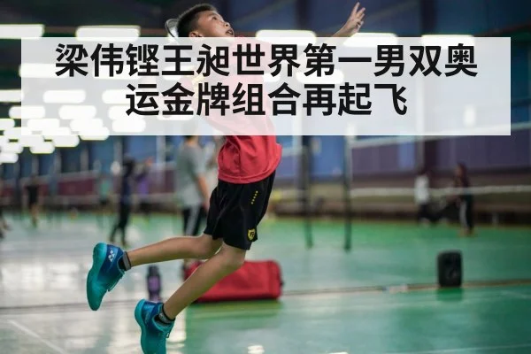 梁伟铿王昶世界第一男双奥运金牌组合再起飞
